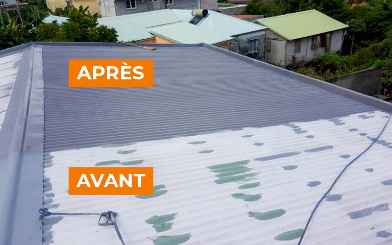 Anti-mousse P.A.E Toiture - Terrasse - S3T GUYANE